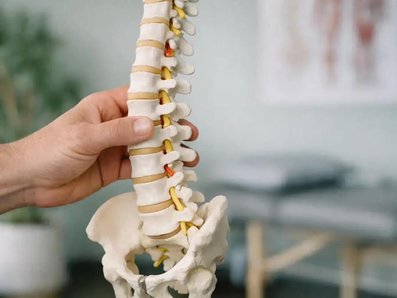 What Is Atlas Orthogonal? Definition, Examples & FAQs — team at work